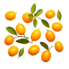 Kumquats isolated on transparent background