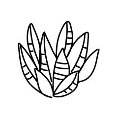 Outline black vector cactus