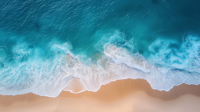 Aerial View of a Beach and Ocean