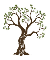 Olive trees with branches and leaves for design of packaging, label, logotype or banner. Natural organic stylized olive icon, premium quality sign.  illustration