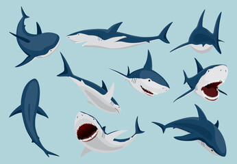 Shark in different poses. Marine predator fish character. Underwater wildlife and ocean animals. Cartoon flat isolated icons set on white background.  illustration