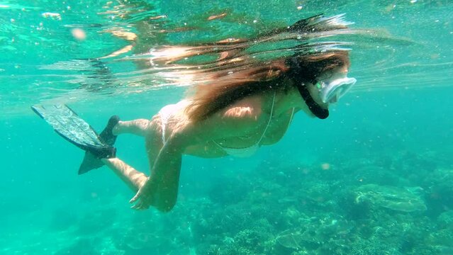 Woman, snorkel or pointing to coral reef in ocean, sunlight or exercise in water in tropical ecology. Person, sea and explorer of natural seaweed in ecosystem and swimming in underwater for adventure