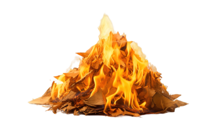 Holika Dahana isolated on transparent background, Generative ai.