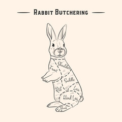 Cute Rabbit. Vintage typographic hand drawn silhouette of a rabbit or hare for butcher store, restaurant menu, graphic design. Meat theme. Vector illustration