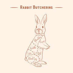Diagram of rabbit cutting for butcher shop. Vector illustration, red lines on white background.