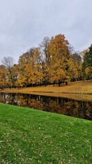 autumn landscape in the park