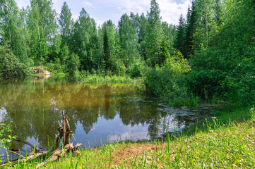 A landscape with a view of a pond with trees growing nearby. A small pond in the forest in summer. The surface of the water. Birch trees grow next to the pond.