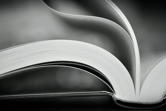 Open book pages dark monochrome image