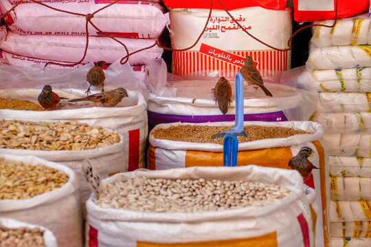 Red Finches at market stall in the Medina of Marrakesh, Morocco