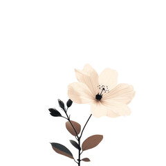 Delicate White  Blossom Amidst Nature's Beauty on a Clean White Background, drawing and painting .png