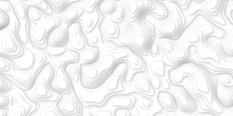 3d render, abstract white paper background. Paper cut vector art background banner texture. multi layer cutout geometric pattern on vector, Abstract soft white background with waves.