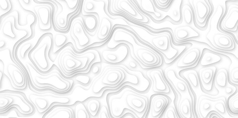 3d render, abstract white paper background. Paper cut vector art background banner texture. multi layer cutout geometric pattern on vector, Abstract soft white background with waves.