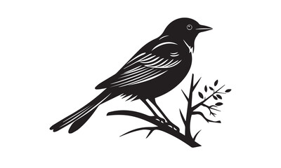Obraz premium bird silhouette Vector elements for design