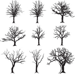 Set Trees. Hand drawn vector illustration