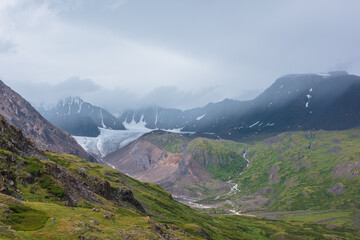 Dramatic misty view to green hills and rocks against big glacier tongue and large mountain range silhouette in low clouds. Lush alpine flora on hillside under rainy gray sky. Rain in high mountains.