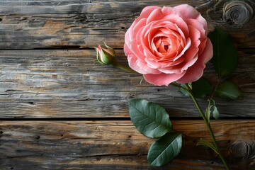 Pink Rose & Bud on Wooden Texture Flat Lay

