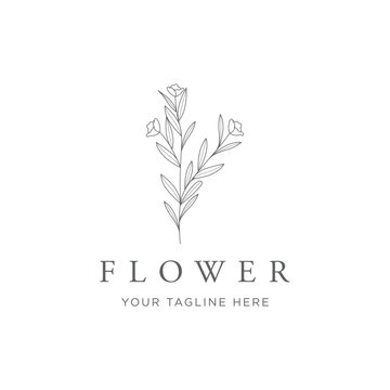 hand drawn floral or botanical logo template design.logo for business, photography, studio, wedding and flower shop.