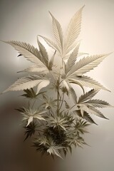 Cannabis Hanf Marihuana