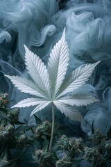 Cannabis Hanf Marihuana