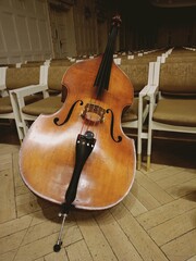 The Cello’s Charm, Wood and Strings.