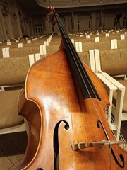 The Cello’s Charm, Wood and Strings.