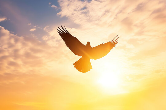 Silhouette of a bird soaring into the sky for freedom.