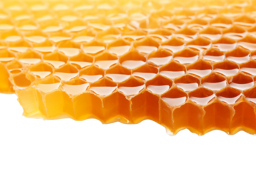 Beehive Honeycomb Pattern PNG - Transparent Background