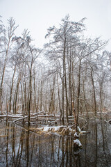 Fluss Würm in Oberbayern im Winter