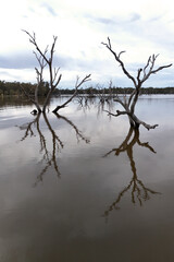aerial view of Victoria Flooding. January 2024. from Lake Eppalock dam  Australia