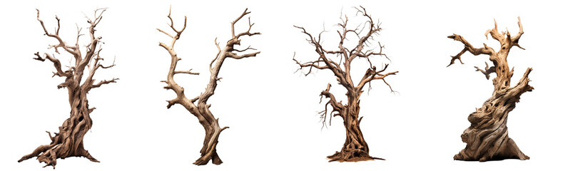 A set of dead treas and branches, isolated on transparent backgroound. 