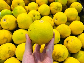 Hand Holding lemons in the market Local Fresh Lemon at market and supermarket. Full of vitamin C. Lemon Lokal Peres