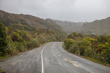 road between trees and vegetation on a rainy day