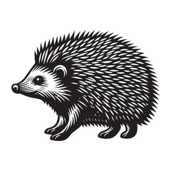 Hedgehog. Vintage engraving illustration. Icon, logo, emblem. Isolated object. Black and white. Outline vector illustration