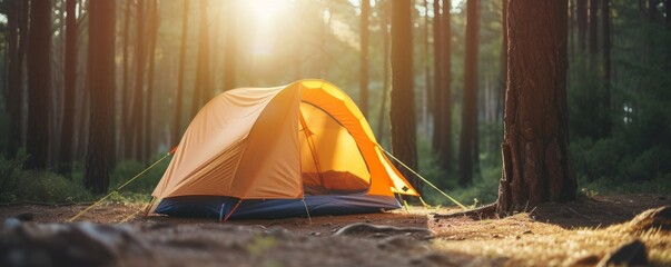 A camping tent set amidst a forest camping site, depicting a serene and peaceful scene with no people around.