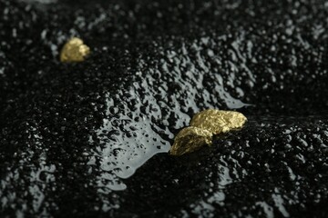 Shiny gold nuggets on wet black stone, closeup