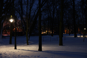 Trees, street lamp and snow in evening park