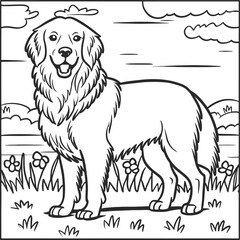 illustration of a dog, Golden Retriever coloring book page illustration