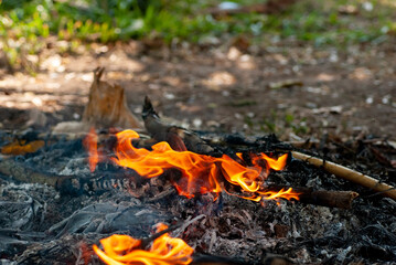 Bonfire burning flame and ashes on a blurred background.