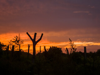Amanecer en montañas en el campo