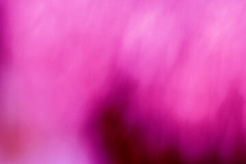 Abstract pink and black gradient blurred background used for media making.