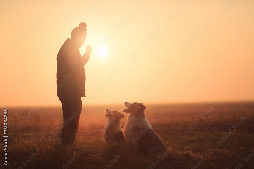 Wall mural silhouette of two australian shepherd dogs sitting playing with a woman against a setting sun