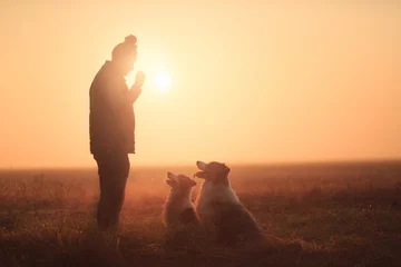 Fotobehang silhouette of two australian shepherd dogs sitting playing with a woman against a setting sun © Oszkár Dániel Gáti