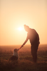 silhouette of an australian shepherd dog sitting taking a toy from a woman against a setting sun