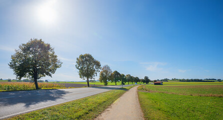 Fototapeta na wymiar country road to Sachsenkam, Bad Tolz, with bike way beside