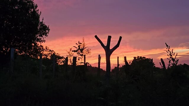 Amanecer en monta&ntilde;as en el campo