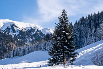 Winter landscape in the mountains not far from Almaty.