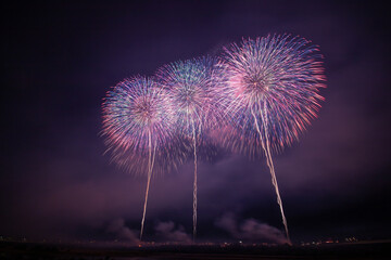 長岡の有名花火