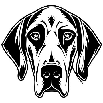 American Foxhound dog black silhouette logo svg vector, American Foxhound icon illustration.