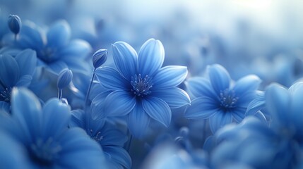 a bunch of blue flowers are in the middle of a field of blue flowers, with a blurry background.