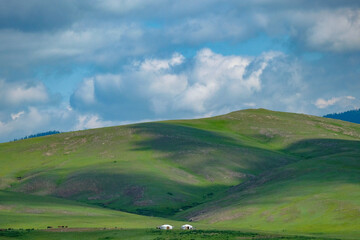 Fototapeta na wymiar Yurt settlement in the Mongolian steppe in Selenge Province, Erdenet, Mongolia.